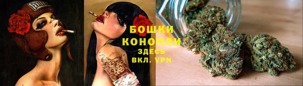 молекула духа Тихорецк
