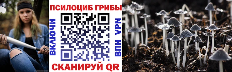 Псилоцибиновые грибы прущие грибы  Яблоновский 
